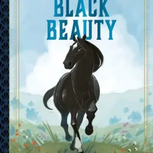 Big Sale Black Beauty