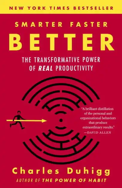 Buy Direct Smarter Faster Better: The Transformative Power of Real Productivity