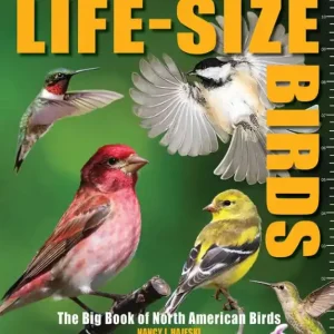 Certified Life-Size Birds: The Big Book of North American Birds