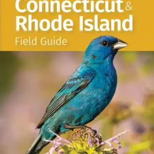 High Quality Birds of Connecticut & Rhode Island Field Guide