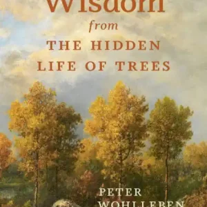 Genuine Wisdom From The Hidden Life of Trees