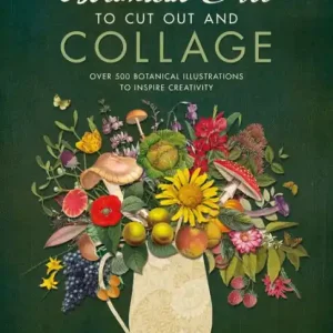 Botanical Art to Cut Out and Collage: Over 500 botanical illustrations to inspire creativity Budget
