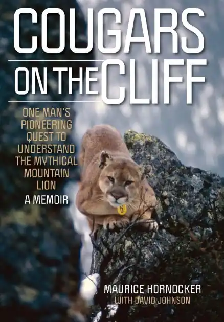 Cougars on the Cliff: One Man's Pioneering Quest to Understand the Mythical Mountain Lion, A Memoir Low Price