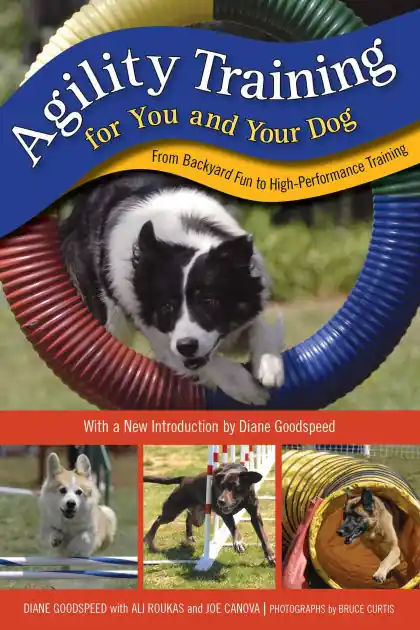 Agility Training for You and Your Dog: From Backyard Fun to High-Performance Training In Demand