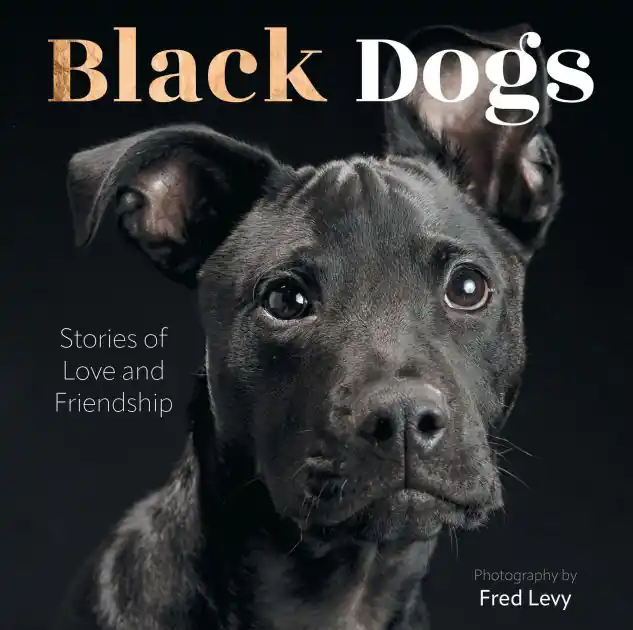 Big Sale Black Dogs: Stories of Love and Friendship