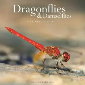 Discount Dragonflies and Damselflies: A Natural History