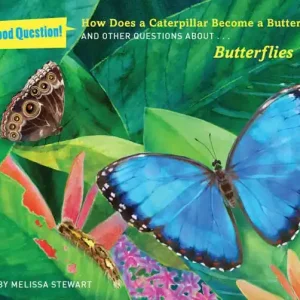 Brand New How Does a Caterpillar Become a Butterfly?: And Other Questions About Butterflies