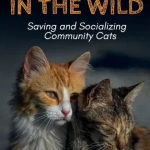 Whiskers in the Wild: Saving and Socializing Community Cats Super Sale