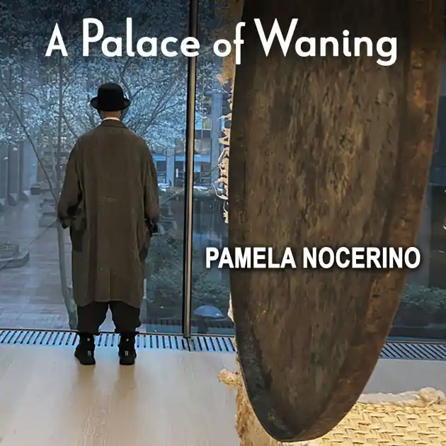A Palace of Waning: A Collection of Poems In Demand