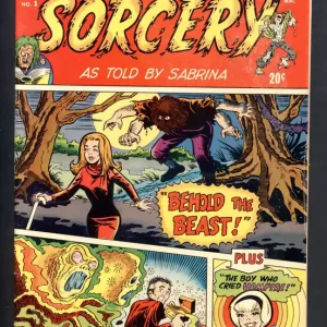 Hot Deal Chilling Adventures in Sorcery (1972 Archie) #1 Raw